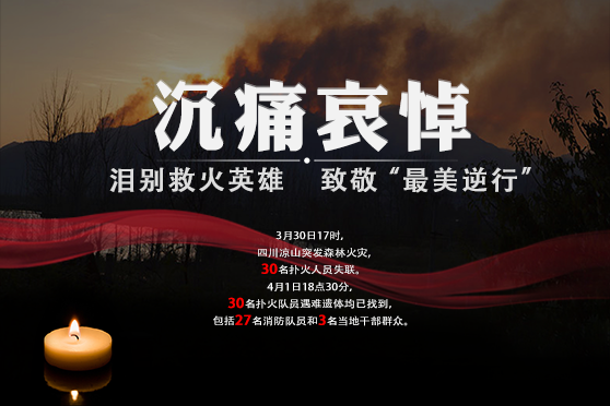 “泪别救火英雄！致敬“最美逆行”！