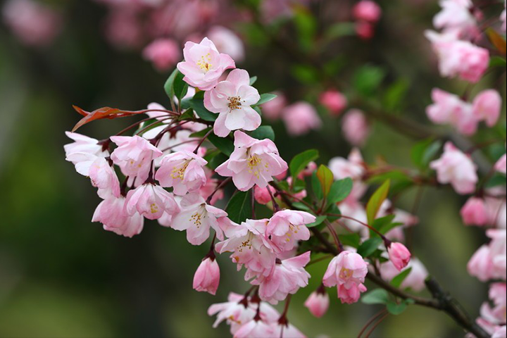 “党建新活力 | 春满人间四月天，爱洒征途暖心田